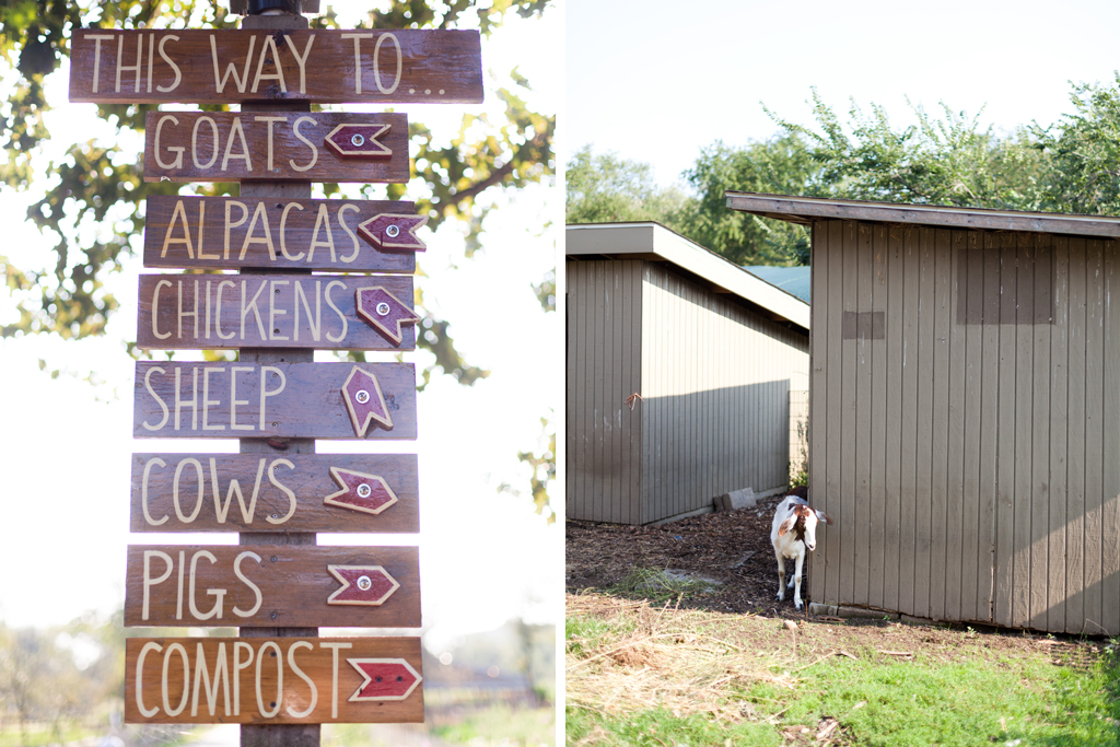 queens_county_farm_wedding_photography_andrew_marilyn_6