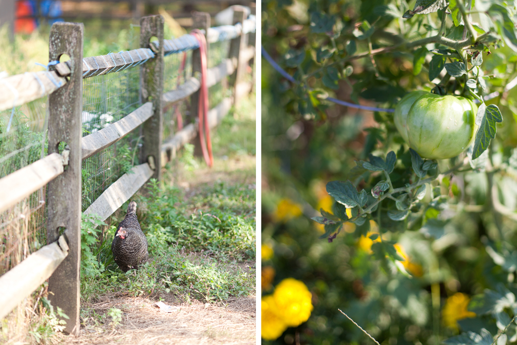 queens_county_farm_wedding_photography_andrew_marilyn_8